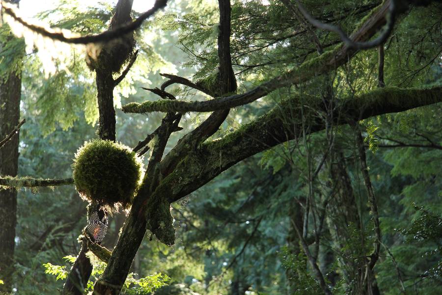 How to improve your self esteem and self worth